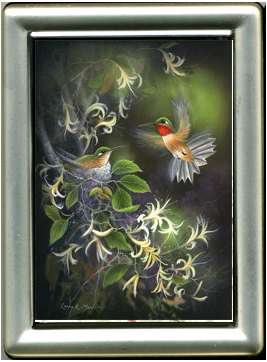 "Rufous Hummingbirds" 